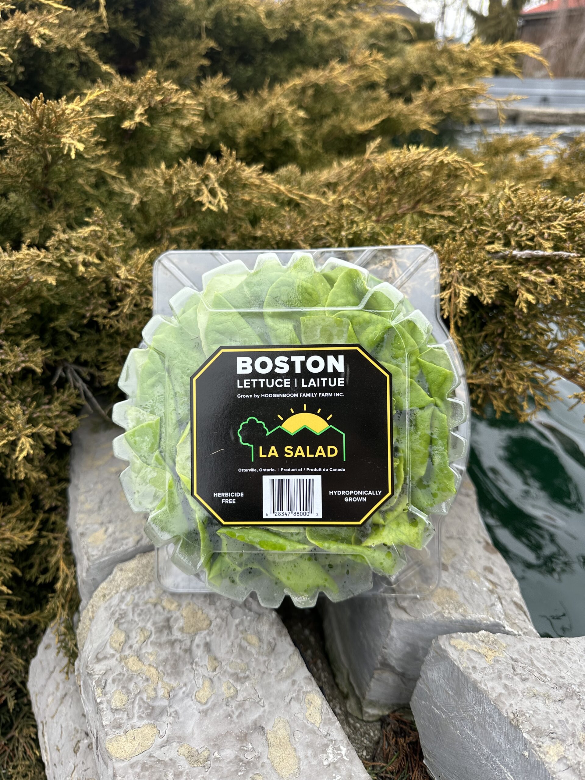 Weekly Specials April 3rd 9th Trading Post Quality Foods